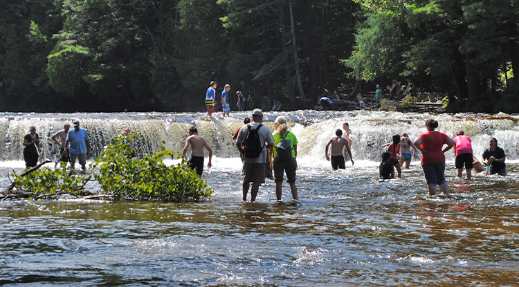 Lower Tahquamenon Falls 