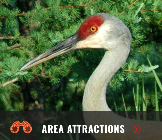 Attractions near Curtis Michigan